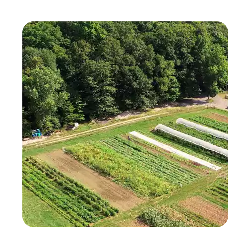 زمین کشاورزی